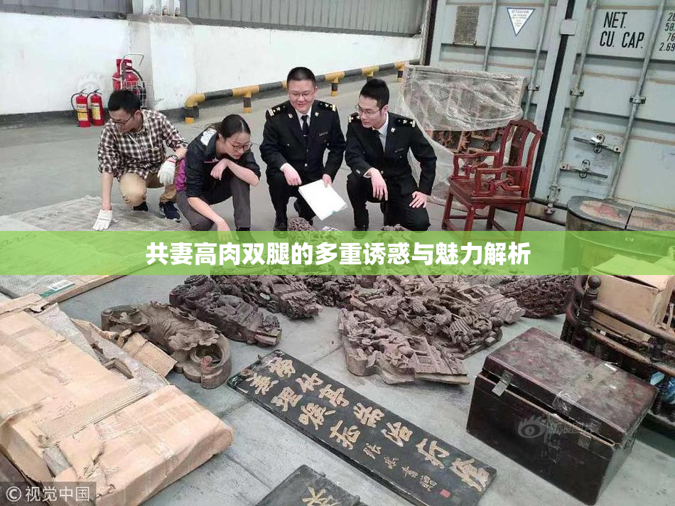共妻高肉双腿的多重诱惑与魅力解析