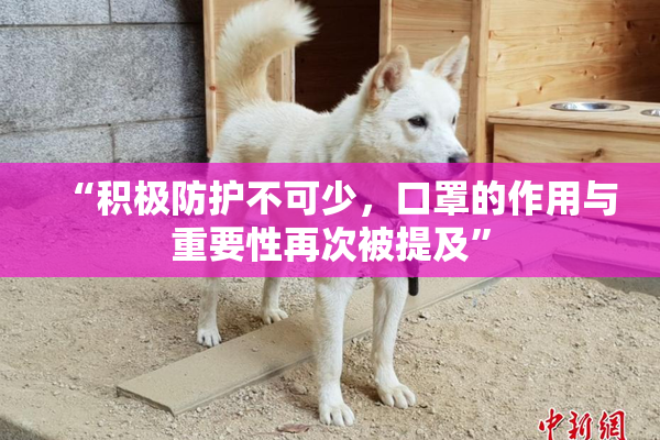 “积极防护不可少，口罩的作用与重要性再次被提及”