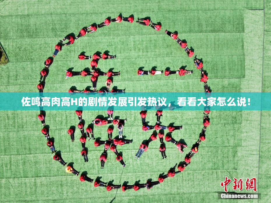 佐鸣高肉高H的剧情发展引发热议，看看大家怎么说！