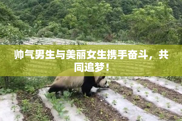 帅气男生与美丽女生携手奋斗，共同追梦！