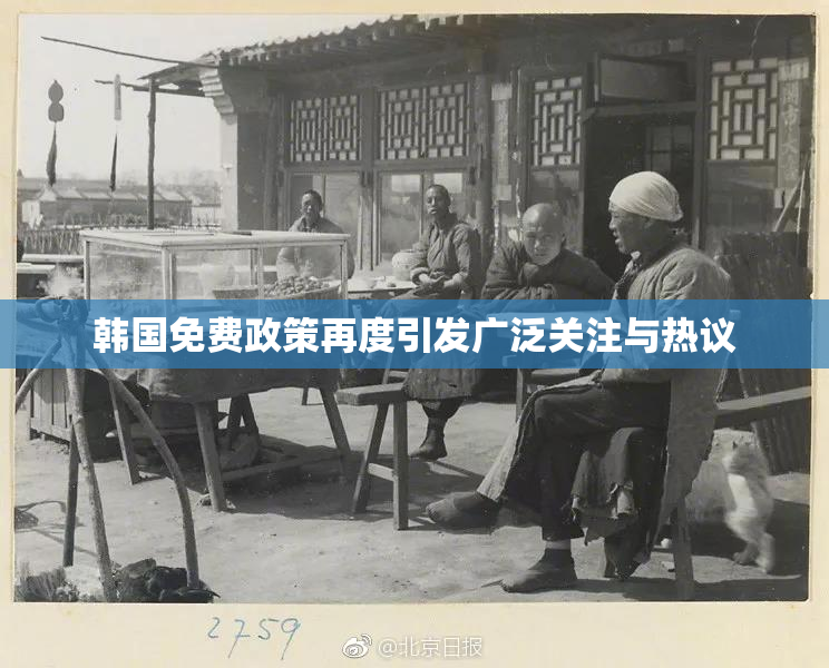 韩国免费政策再度引发广泛关注与热议