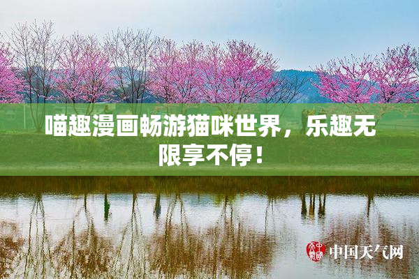 喵趣漫画畅游猫咪世界，乐趣无限享不停！