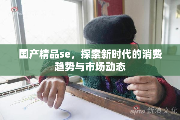 国产精品se，探索新时代的消费趋势与市场动态