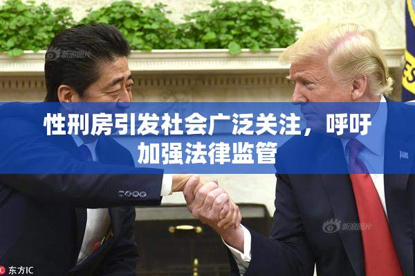 性刑房引发社会广泛关注，呼吁加强法律监管