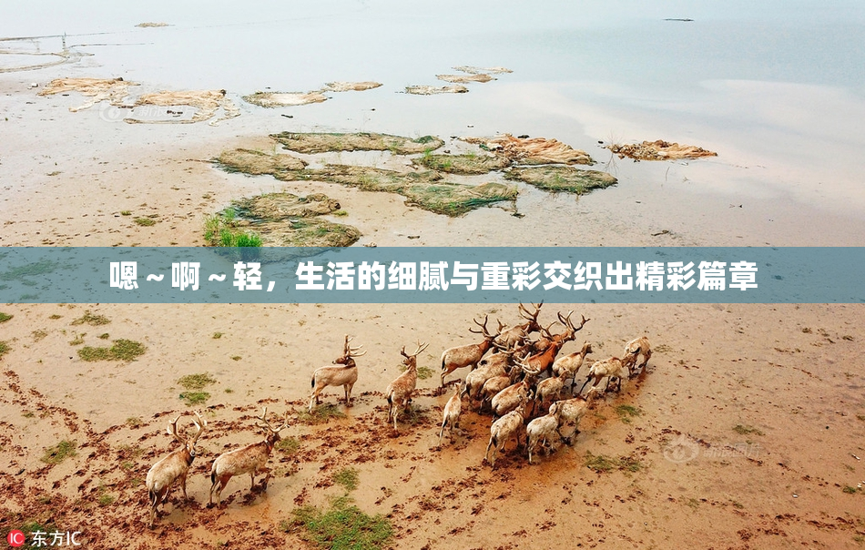 嗯～啊～轻，生活的细腻与重彩交织出精彩篇章
