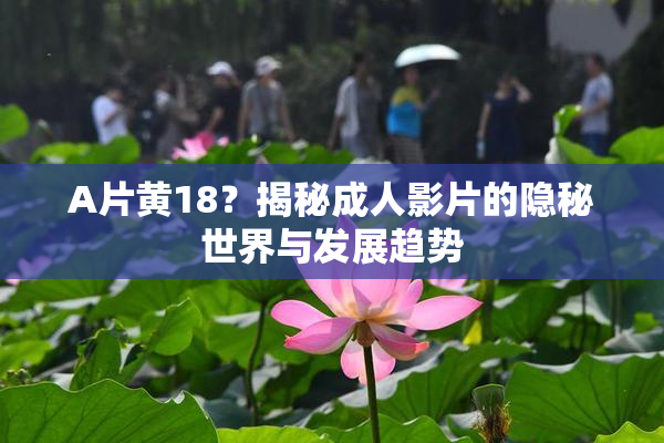 A片黄18？揭秘成人影片的隐秘世界与发展趋势