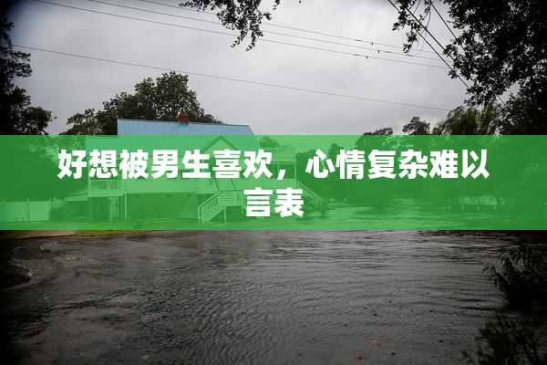 好想被男生喜欢，心情复杂难以言表