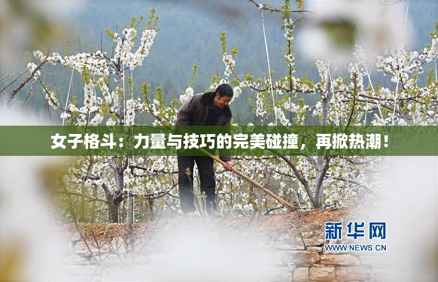 女子格斗：力量与技巧的完美碰撞，再掀热潮！