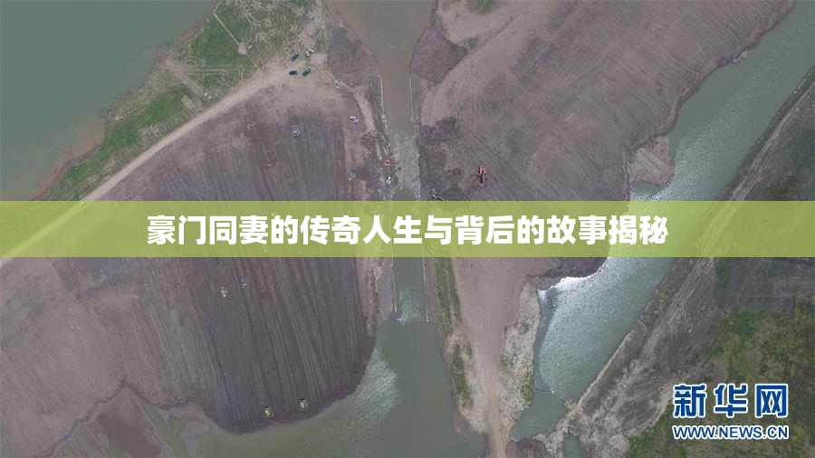 豪门同妻的传奇人生与背后的故事揭秘
