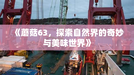 《蘑菇63，探索自然界的奇妙与美味世界》