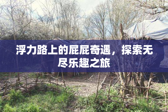 浮力路上的屁屁奇遇，探索无尽乐趣之旅
