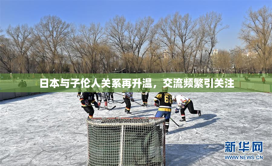 日本与子伦人关系再升温，交流频繁引关注