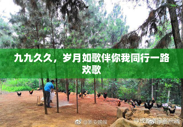 九九久久，岁月如歌伴你我同行一路欢歌