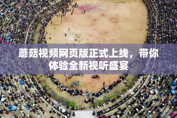 蘑菇视频网页版正式上线，带你体验全新视听盛宴