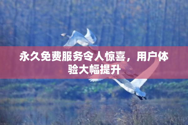 永久免费服务令人惊喜，用户体验大幅提升