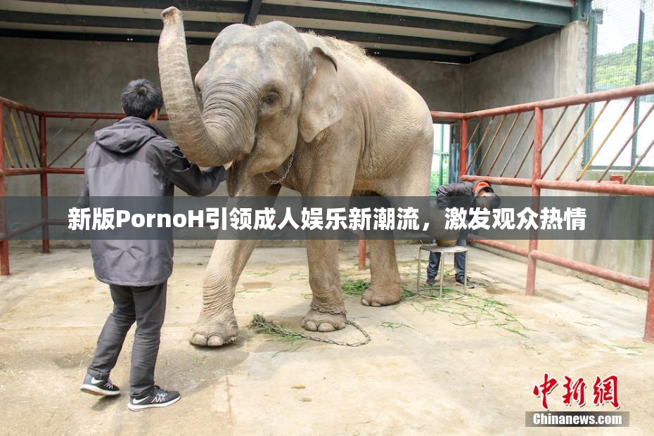 新版PornoH引领成人娱乐新潮流，激发观众热情