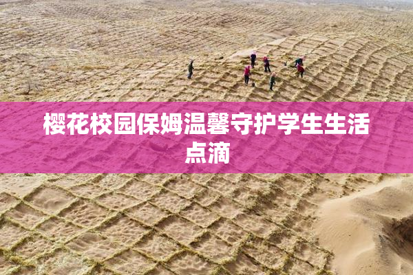 樱花校园保姆温馨守护学生生活点滴