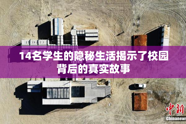 14名学生的隐秘生活揭示了校园背后的真实故事