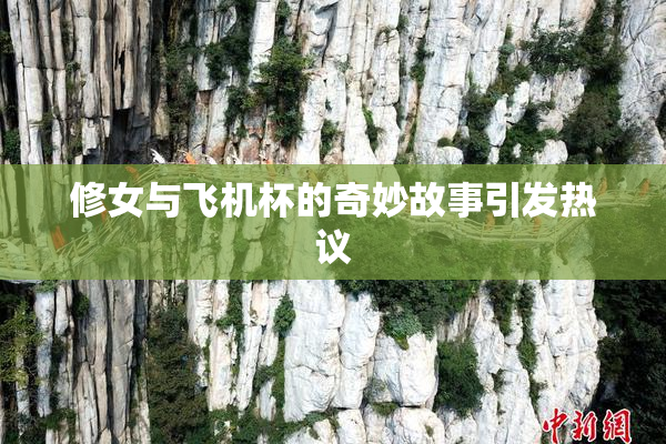 修女与飞机杯的奇妙故事引发热议