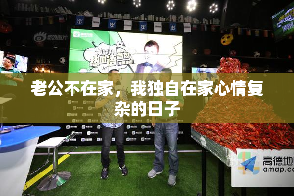 老公不在家，我独自在家心情复杂的日子