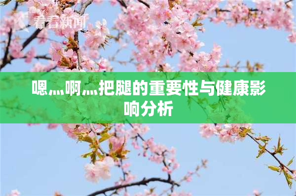 嗯灬啊灬把腿的重要性与健康影响分析