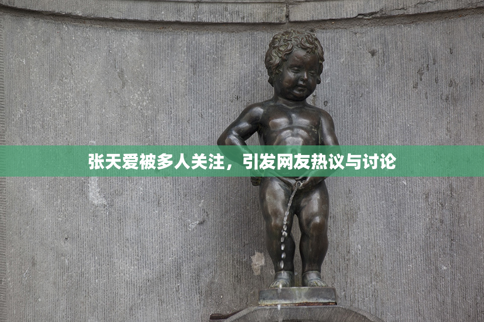 张天爱被多人关注，引发网友热议与讨论