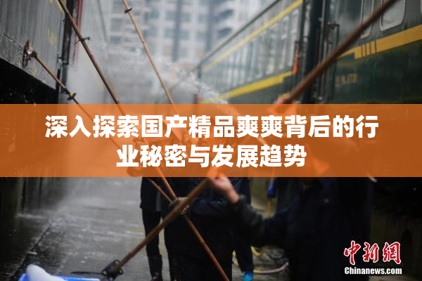 深入探索国产精品爽爽背后的行业秘密与发展趋势
