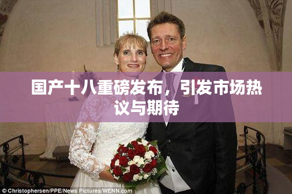 国产十八重磅发布，引发市场热议与期待