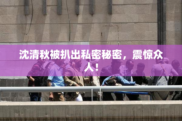 沈清秋被扒出私密秘密，震惊众人！