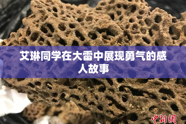 艾琳同学在大雷中展现勇气的感人故事