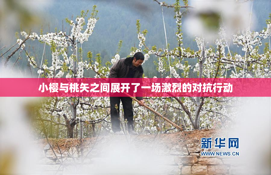 小樱与桃矢之间展开了一场激烈的对抗行动