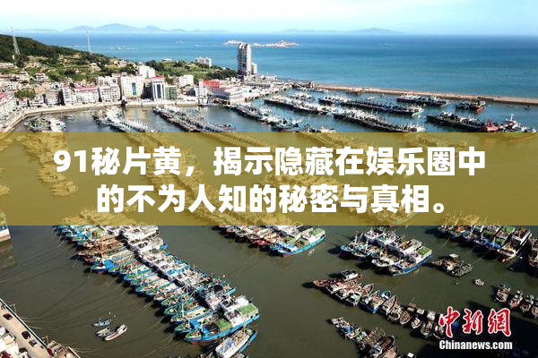 91秘片黄，揭示隐藏在娱乐圈中的不为人知的秘密与真相。