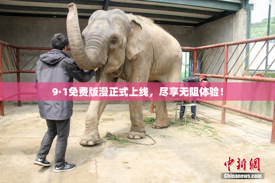 9·1免费版漫正式上线，尽享无阻体验！