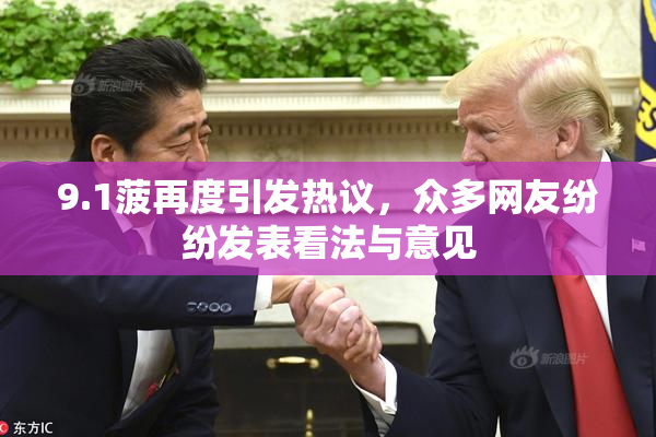 9.1菠再度引发热议，众多网友纷纷发表看法与意见