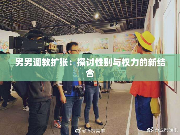 男男调教扩张：探讨性别与权力的新结合