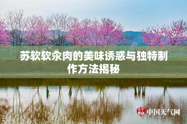 苏软软汆肉的美味诱惑与独特制作方法揭秘