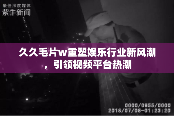 久久毛片w重塑娱乐行业新风潮，引领视频平台热潮