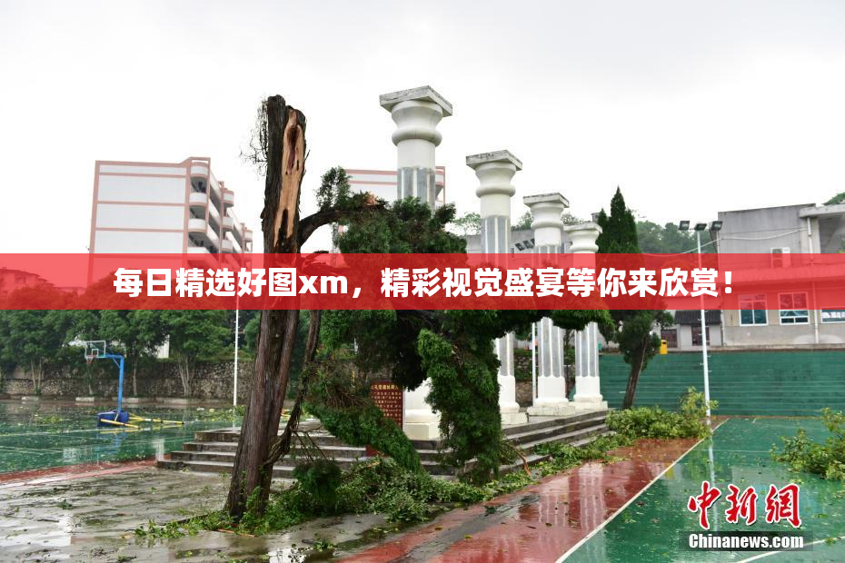 每日精选好图xm，精彩视觉盛宴等你来欣赏！