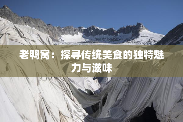 老鸭窝：探寻传统美食的独特魅力与滋味