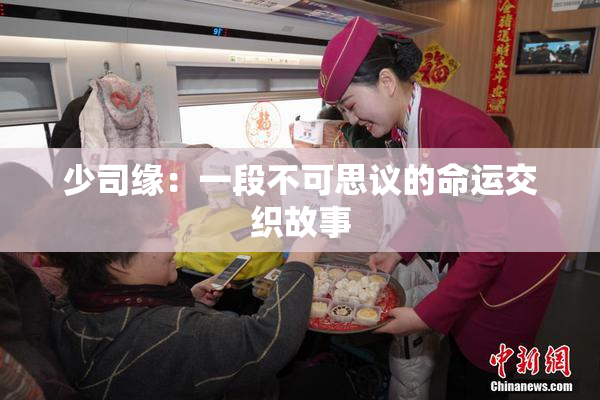 少司缘：一段不可思议的命运交织故事