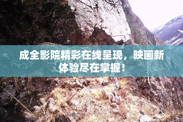 成全影院精彩在线呈现，映画新体验尽在掌握！