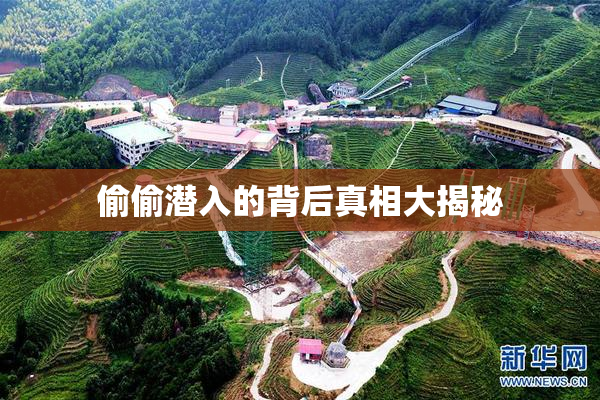 偷偷潜入的背后真相大揭秘