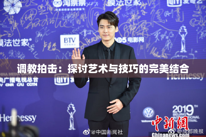 调教拍击：探讨艺术与技巧的完美结合