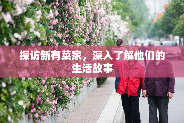 探访新有菜家，深入了解他们的生活故事