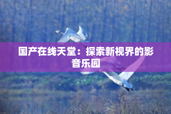 国产在线天堂：探索新视界的影音乐园