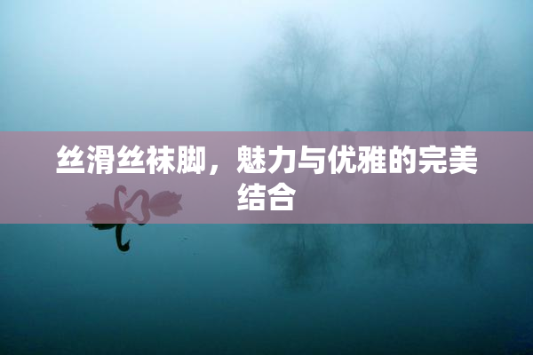丝滑丝袜脚，魅力与优雅的完美结合