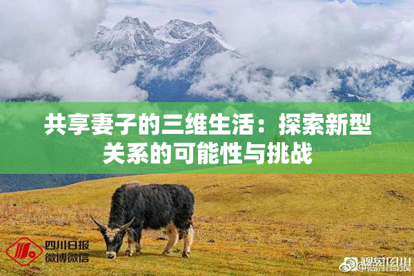 共享妻子的三维生活：探索新型关系的可能性与挑战