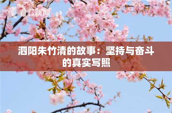 泗阳朱竹清的故事：坚持与奋斗的真实写照
