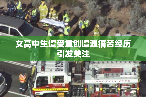 女高中生遭受重创遭遇痛苦经历引发关注