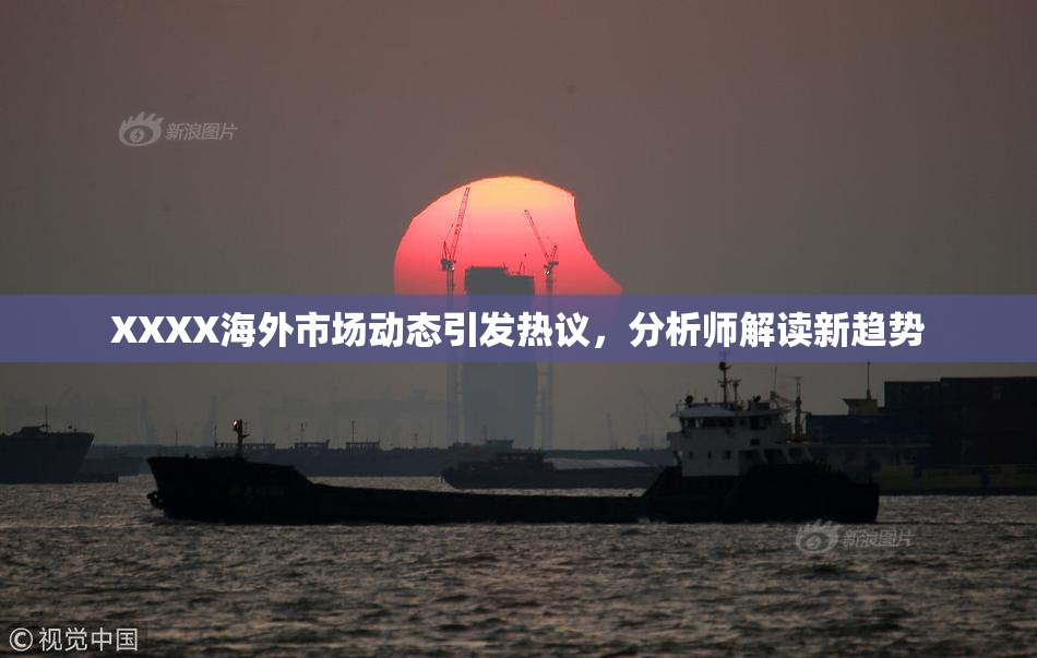 XXXX海外市场动态引发热议，分析师解读新趋势